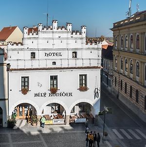 Hotel Bílý Koníček Třeboň Exterior photo