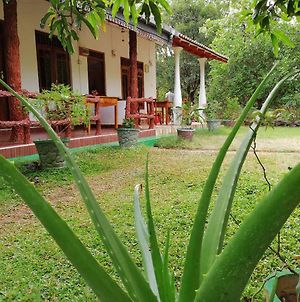 Sigiri Binara Villa Sigiriya Exterior photo