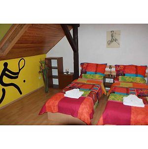 Bed&Breakfast Penzion Brno Room photo