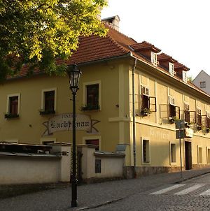 Penzion Kachelman Banská Štiavnica Exterior photo