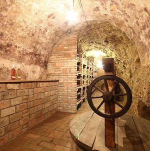 Penzion víno sklep U Palečků Zaječí Exterior photo