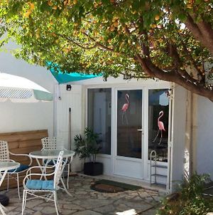 Bed and Breakfast Le Flamant Rose Arles Exterior photo