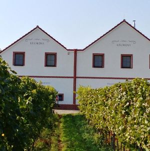 Penzion a vinařství Lelíkovi Dolní Dunajovice Exterior photo