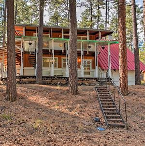 Vila Secluded Ruidoso Cabin With Forest Views And Porch! Exterior photo